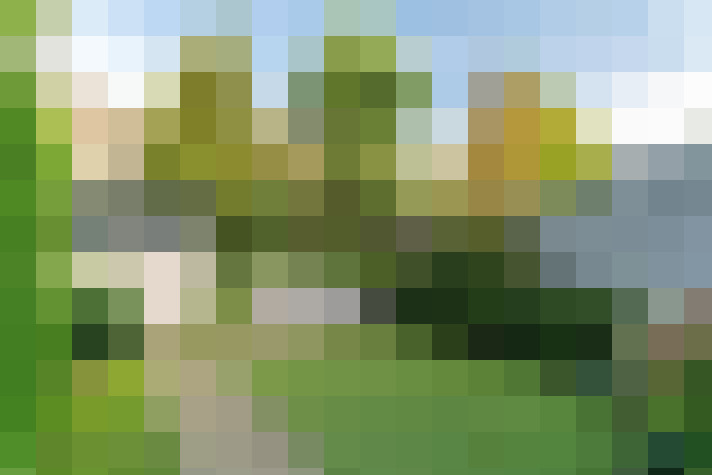 Image 23