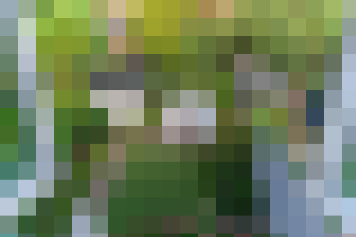 Image 55