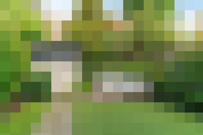 Image 24