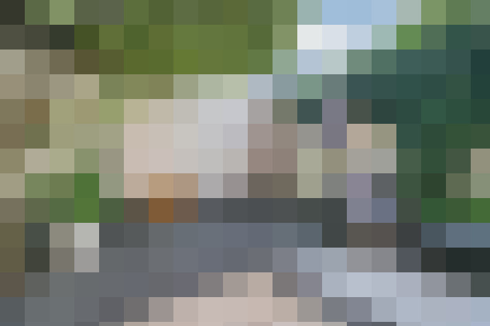 Image 23