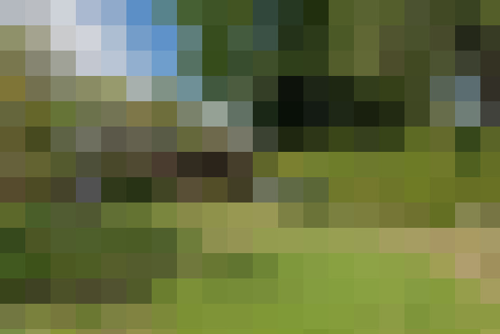 Image 43
