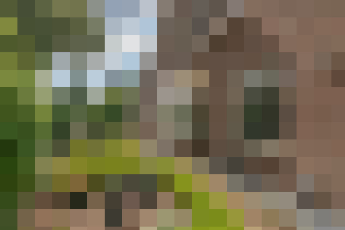 Image 42