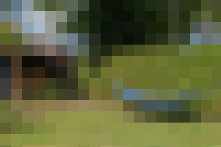 Image 44