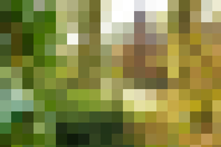 Image 76