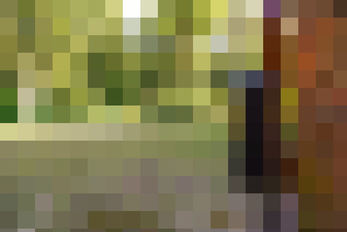Image 70