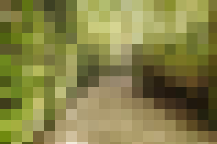 Image 78