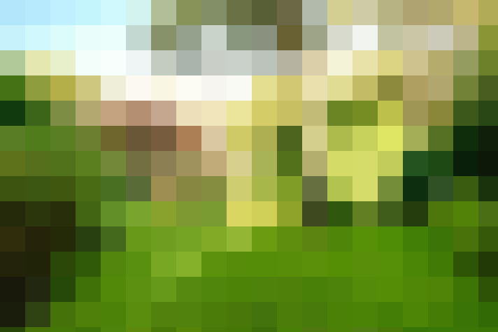 Image 24