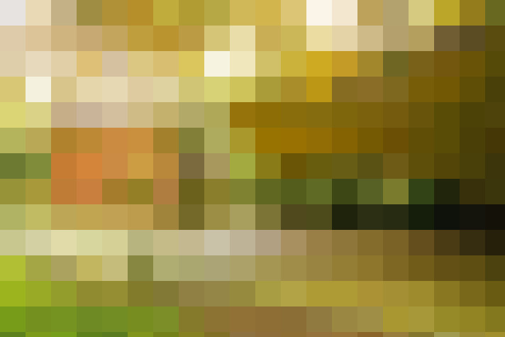 Image 72