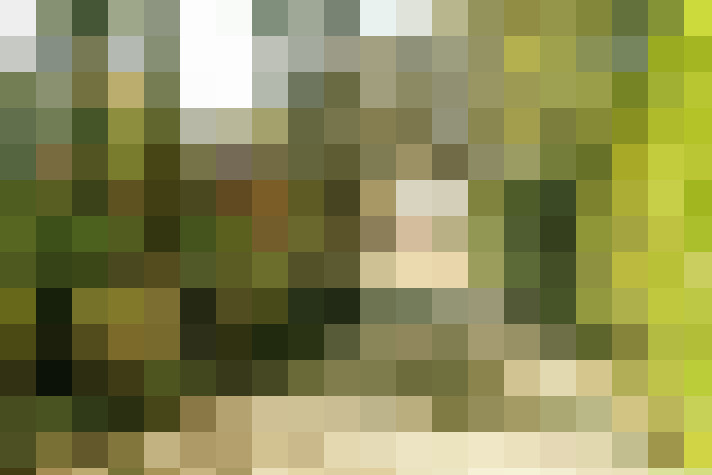 Image 77