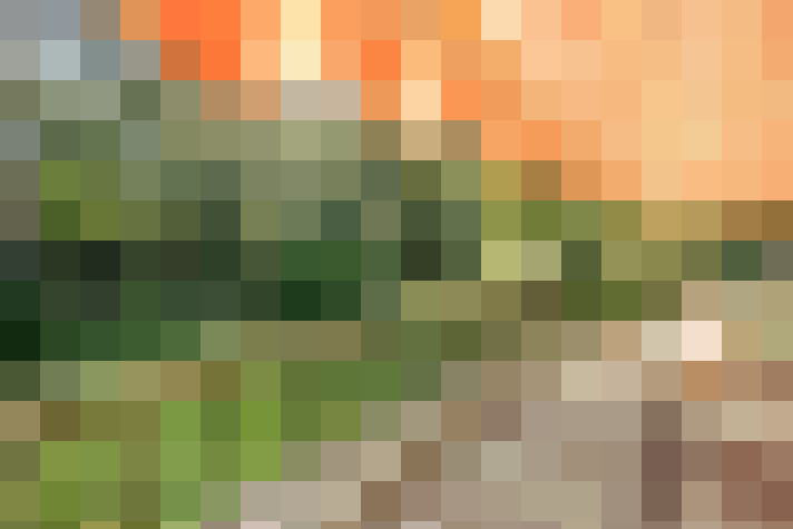 Image 32