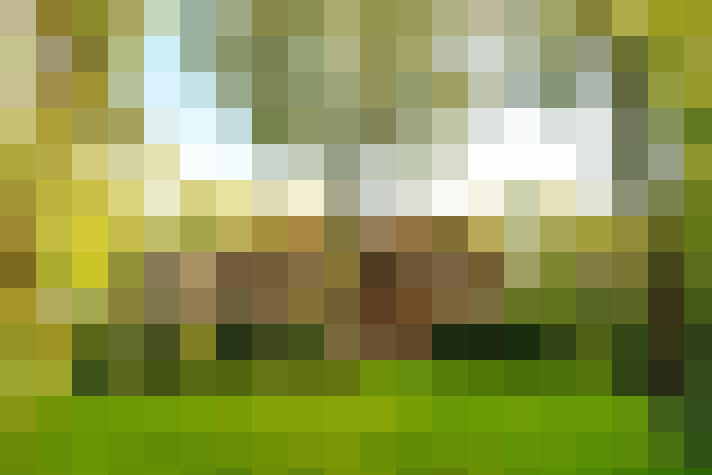 Image 22