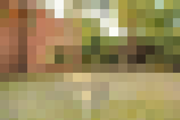 Image 71