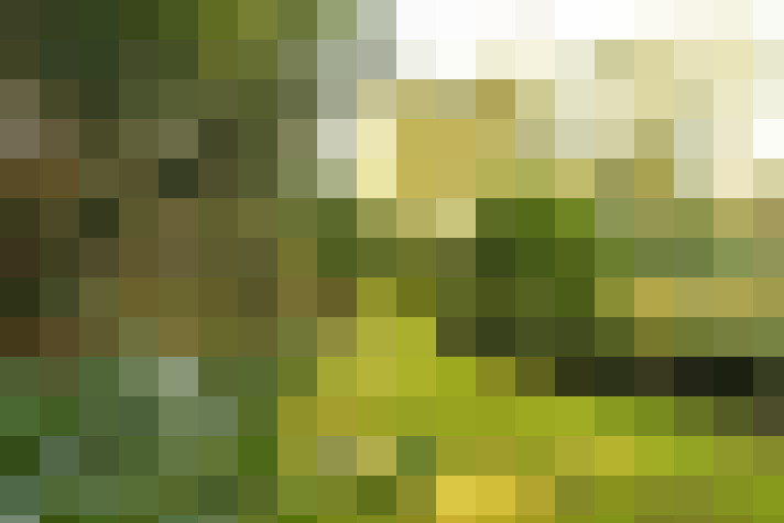 Image 23