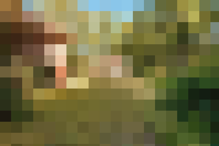 Image 69