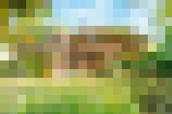 Image 20