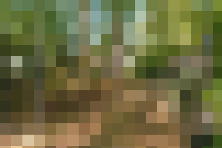 Image 79