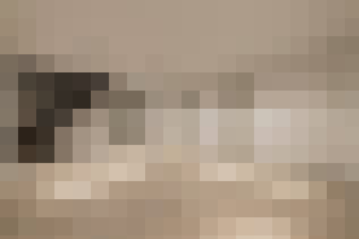 Image 31