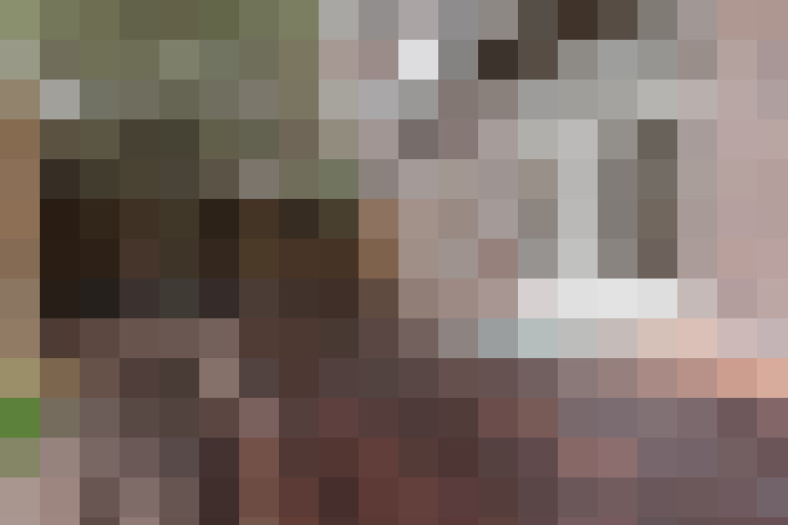 Image 54