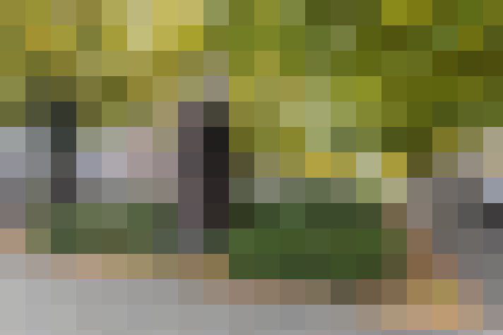 Image 58