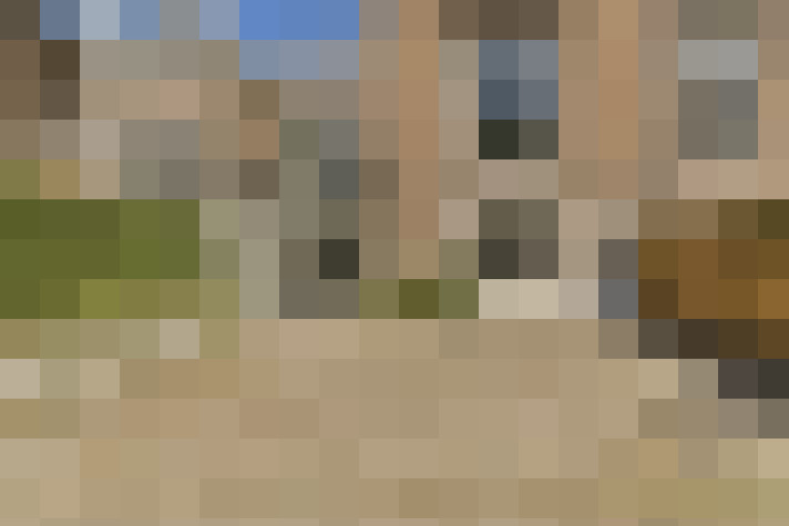Image 20