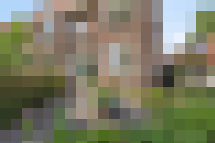 Image 26