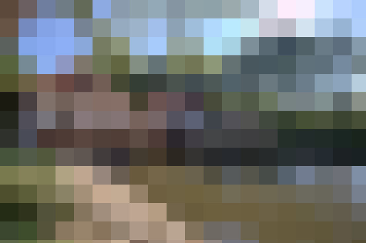 Image 17