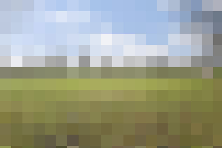 Image 33