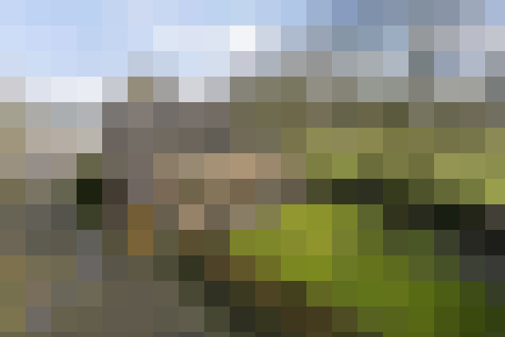 Image 31