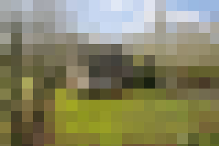 Image 32
