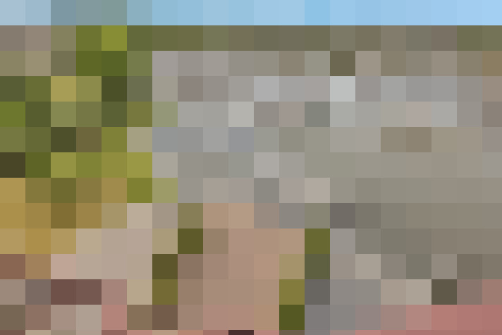 Image 25