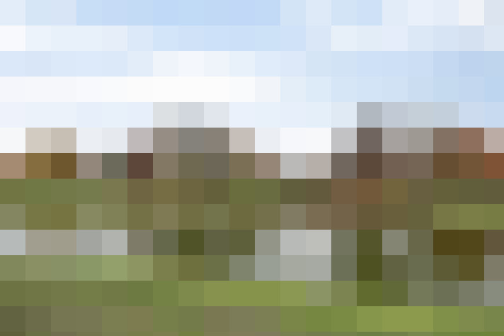 Image 33