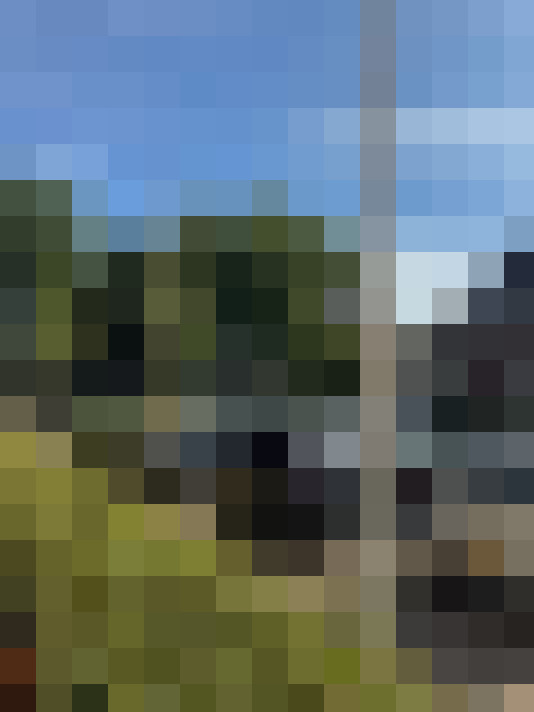 Image 29
