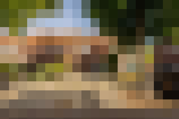 Image 33