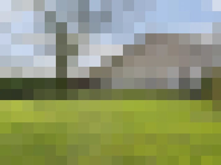 Image 29