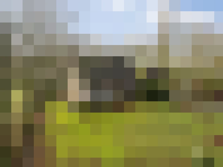 Image 31