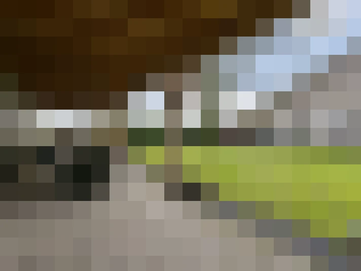 Image 28