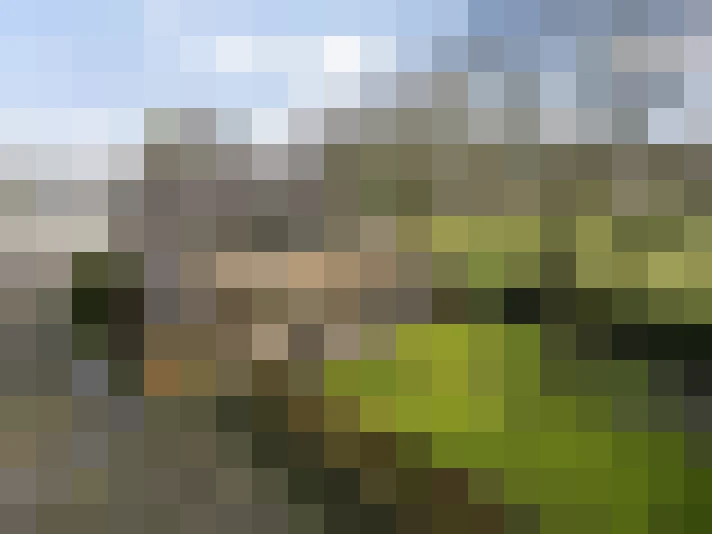 Image 30