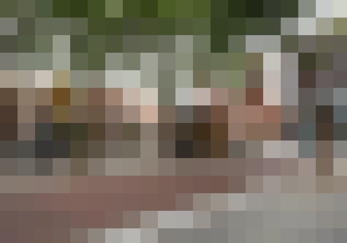 Image 23
