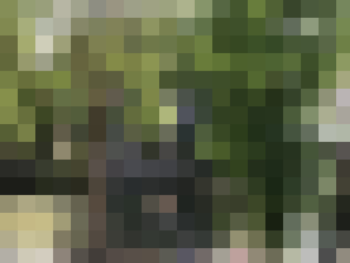 Image 13
