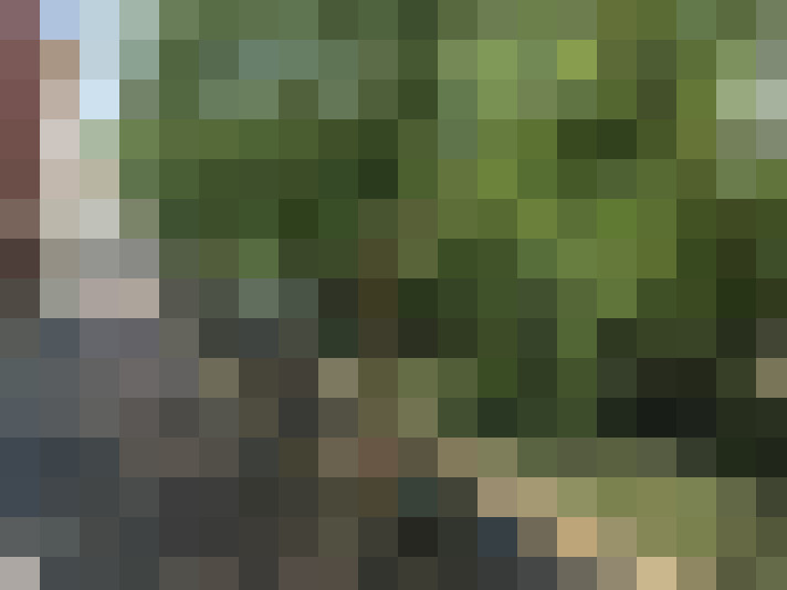 Image 14