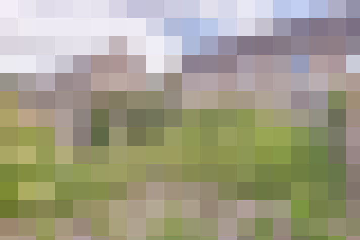 Image 32