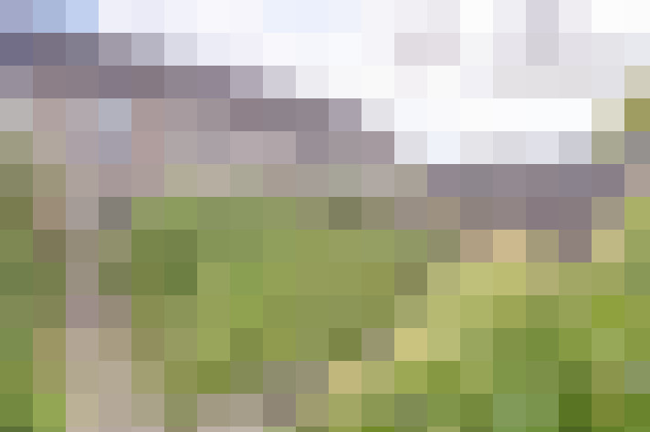 Image 31