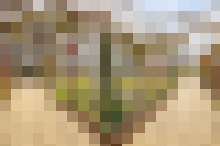 Image 33