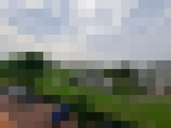 Image 15