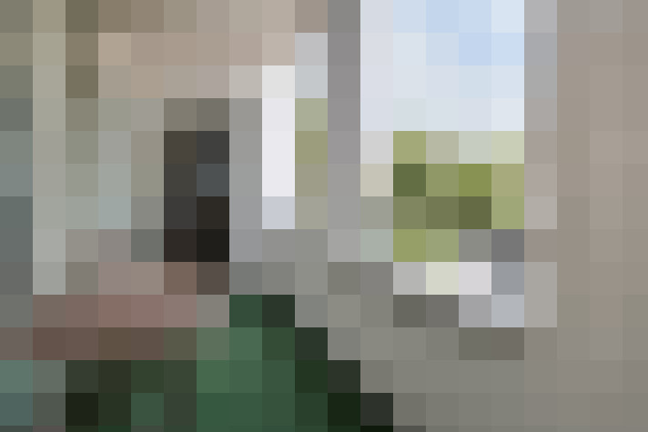 Image 22