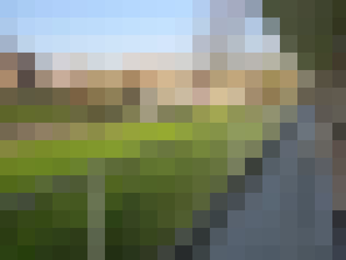 Image 13