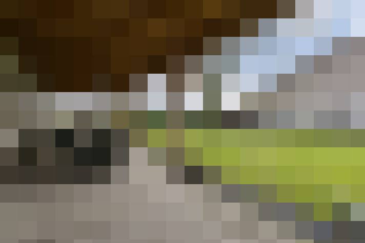 Image 28