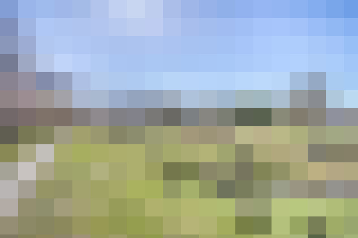 Image 28