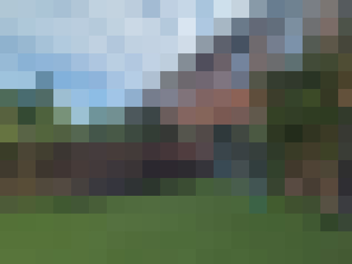 Image 16