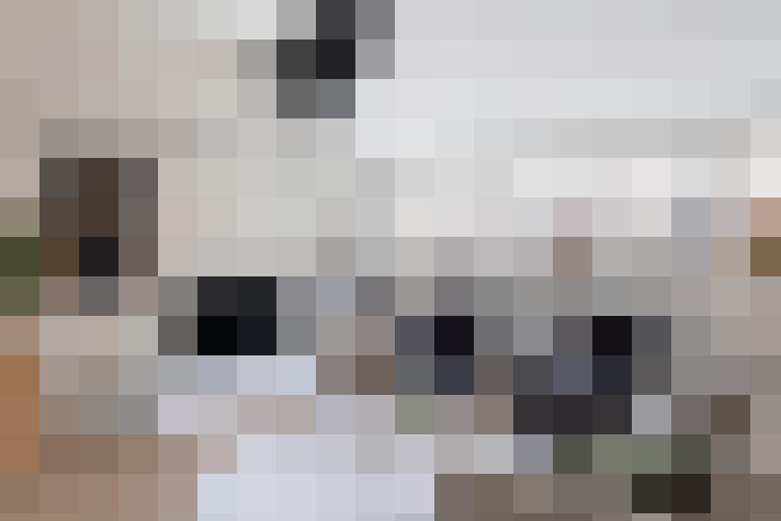  / #24